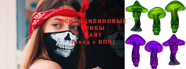 сатива Абаза
