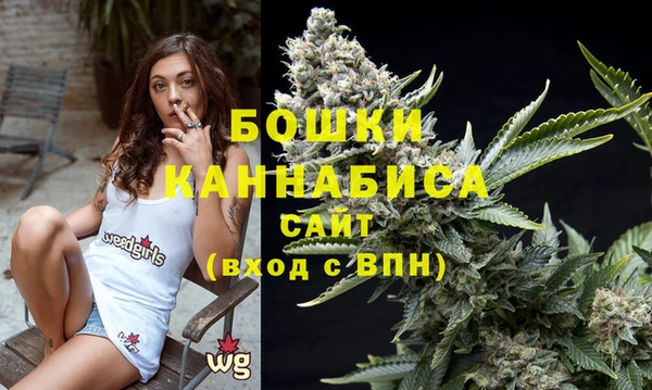 сатива Абаза