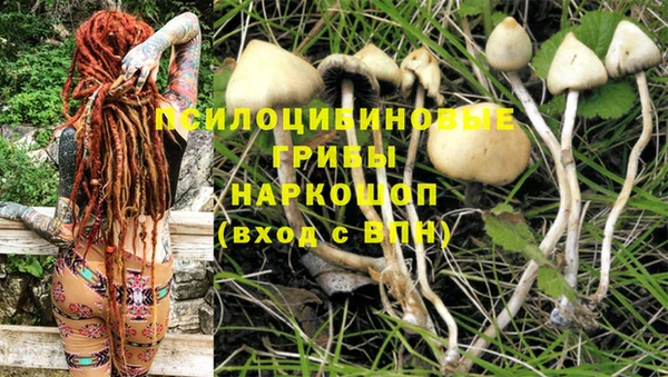 сатива Абаза